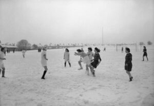 Balón de fútbol en el césped